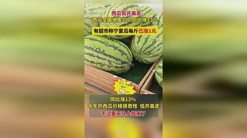 今日宁夏瓜价格,今日价格行情一览”