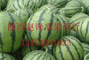 哈密瓜今日二瓜价格行情,品质与价格的完美结合”