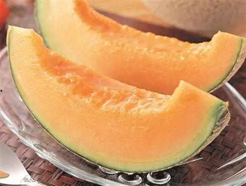 哈密瓜今日二瓜价格行情,品质与价格的完美结合”