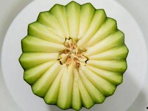 广饶网纹瓜今日价格,价格行情一览