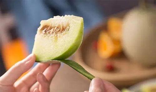 广饶网纹瓜今日价格,价格行情一览