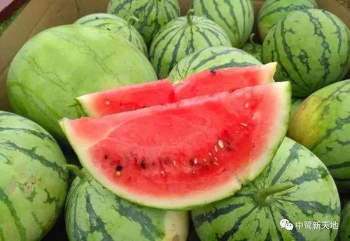 襄阳今日吃瓜事件最新,一场网络热议背后的真相揭秘