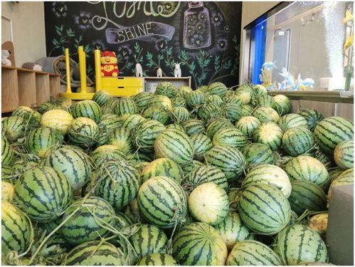 襄阳今日吃瓜事件最新,一场网络热议背后的真相揭秘