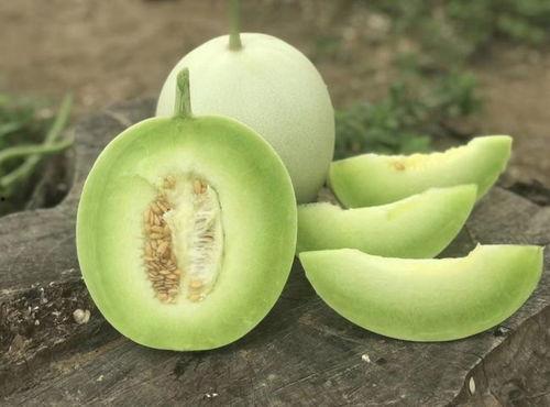 香瓜弟弟 今日吃瓜图片,揭秘娱乐圈最新热点