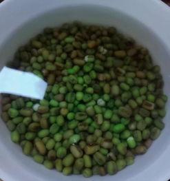 绿豆和黑蜜瓜一起吃吗,营养新主张