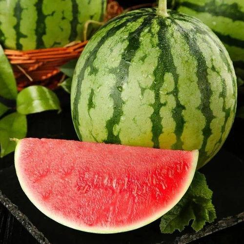 长沙美都麒麟瓜今日价格,价格行情一览”