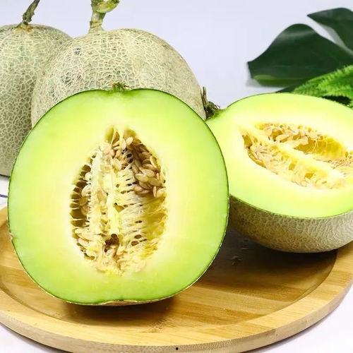 今日价格玫珑瓜,瑰丽玫珑瓜，品味夏日清新佳肴