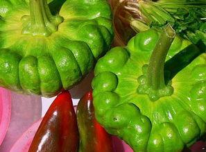 2023姜柄瓜今日价格,今日价格动态解析”