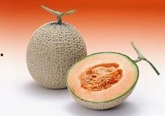 上海哈密瓜今日价格,新鲜上市，价格走俏