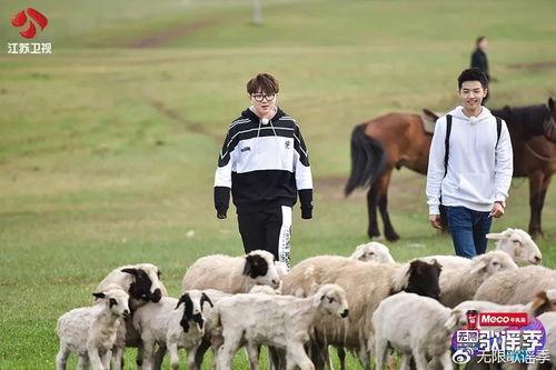 呼伦贝尔明星网红有哪些,草原上的璀璨星河