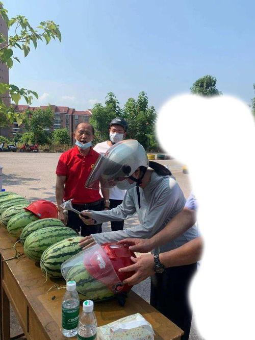 临海今日吃瓜事件最新,揭秘背后真相与网络舆论风暴