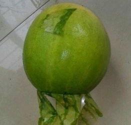 临海今日吃瓜事件最新,揭秘背后真相与网络舆论风暴