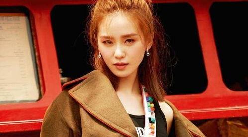 河南出名的明星网红,河南明星网红风采掠影