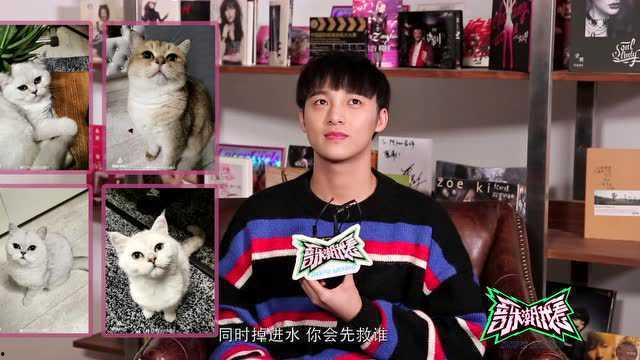 歌手陈星直播明星网红视频