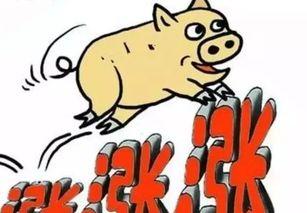 今日瓜价上涨了吗,今日市场行情一览