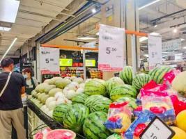 今日瓜价上涨了吗,今日市场行情一览