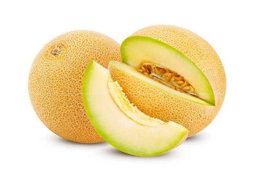 广州哈密瓜今日价格,价格行情一览