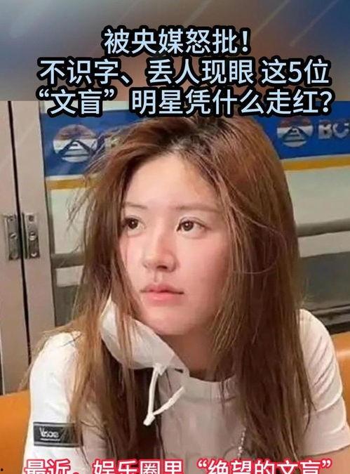 明星网红是什么东西