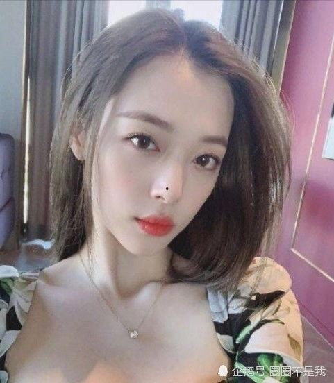 明星网红是什么东西