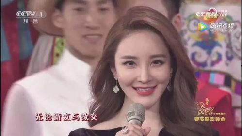 明星网红是什么东西