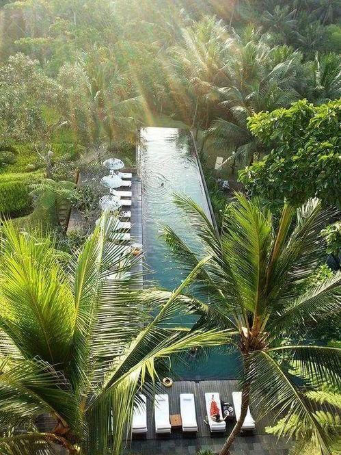 重庆明星网红最多的酒店