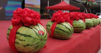 清河市场石头瓜今日价钱,价格行情一览”