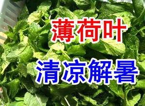 今日入伏吃三瓜三肉,三瓜三肉，夏季健康饮食指南