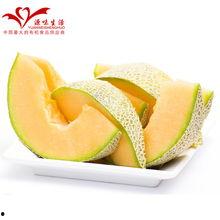 今日万邦源正达哈密瓜,新疆甜蜜之选，品质生活新体验