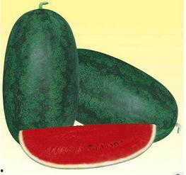 黑瓜今日价格,市场动态解析”