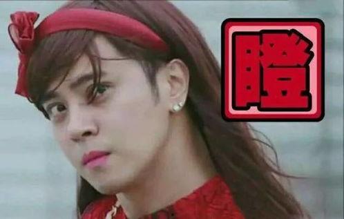 如何正确看待明星网红,明星网红现象背后的价值与影响