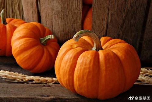 今日宜吃瓜七点,揭秘娱乐圈七点幕后故事