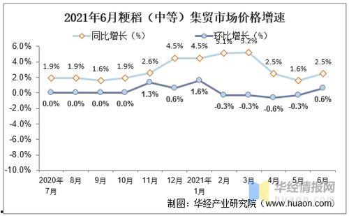 今日小瓜走势分析图片,今日行情动态一览