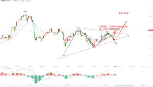 今日小瓜走势分析图片,今日行情动态一览
