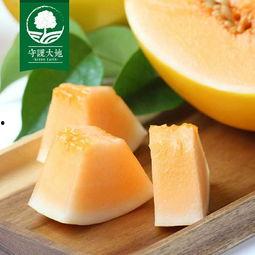 蜜瓜今日行情,今日市场动态一览