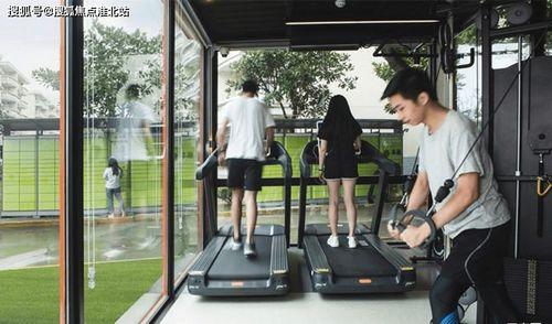 孝感首衡哈密瓜今日行情