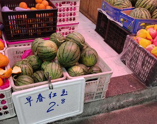 瓜达克斯今日价格行情,涨跌波动，市场动态一览