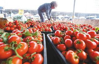 海口今日瓜菜价格表,新鲜直供，实惠可见