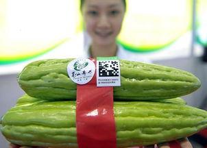 海口今日瓜菜价格表,新鲜直供，实惠可见