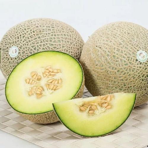 今日哈密瓜网纹瓜价格