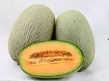 今日哈密瓜网纹瓜价格