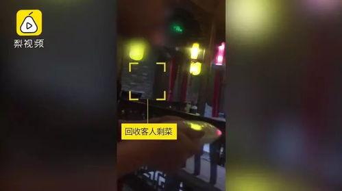 今日吃瓜-佳佳拖把,今日吃瓜新焦点，清洁神器引发热议