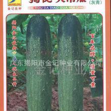 小吊瓜今日价格最新行情