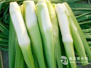 小吊瓜今日价格最新行情