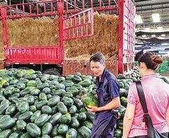 青岛市今日壮瓜批发价格,行情稳中向好”