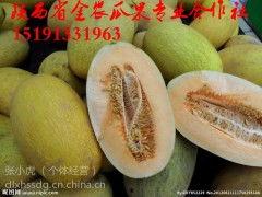 桃源今日哈密瓜价格多少,今日桃源哈密瓜价格行情揭晓