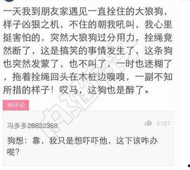 今日吃瓜文案搞笑图片,搞笑图片带你笑翻天！