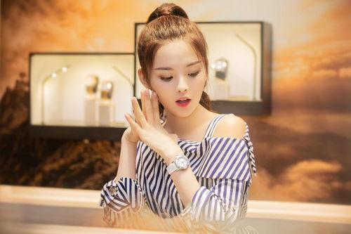 涉及明星网红的案例分析,揭秘网络影响力背后的商业秘密