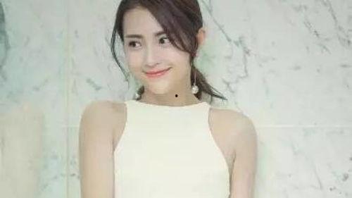 明星网红对骂视频大全集