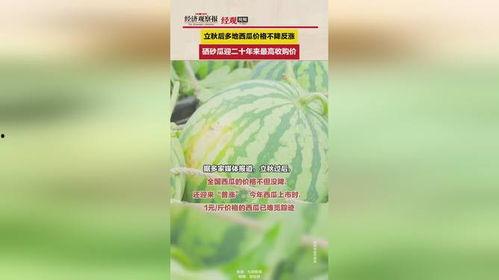 硒沙瓜价格今日价格,市场行情一览