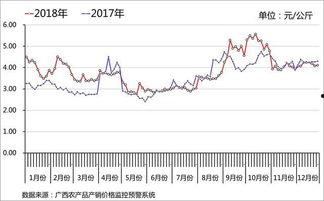 茄瓜行情今日行情分析最新
